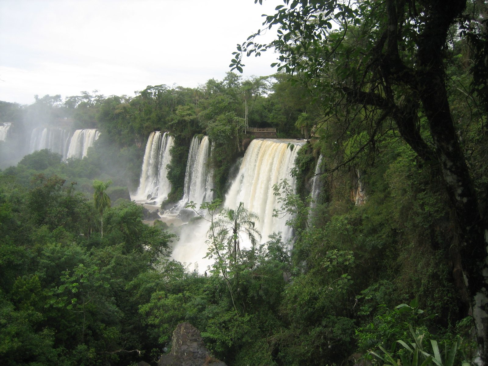 IMG 3590