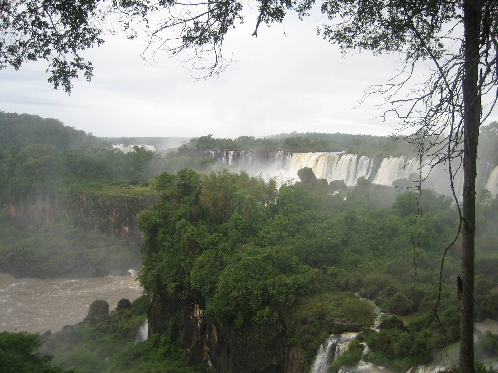 IMG 3594