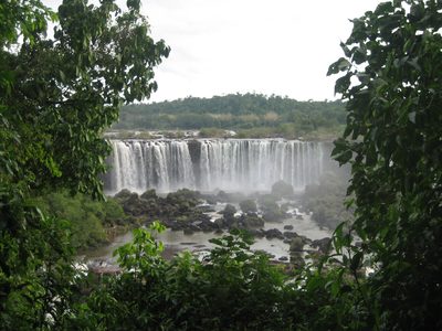IMG 3517