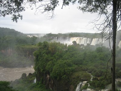 IMG 3594