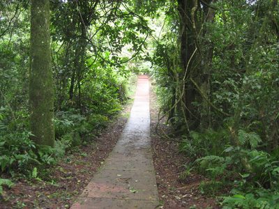 IMG 3646