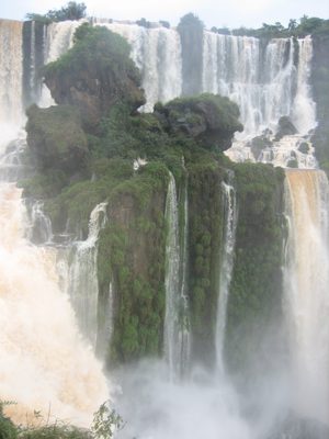 IMG 3656